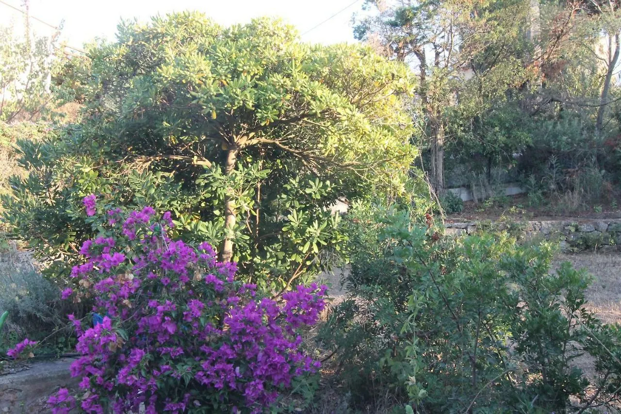 Appartement Presqu`ile de Giens à Hyères